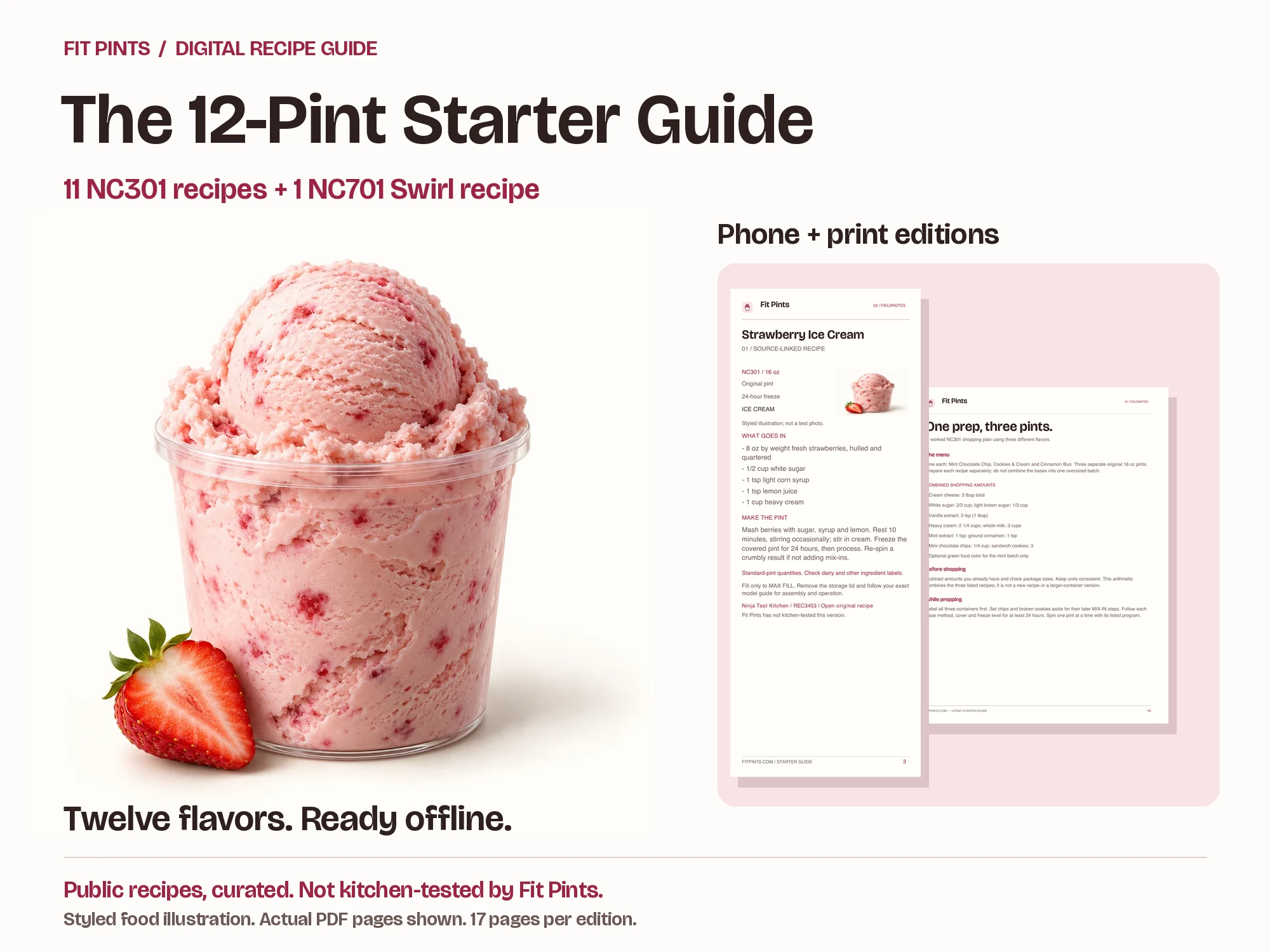 Actual 12-Pint Starter Guide pages